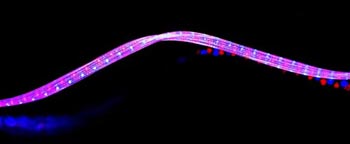 LED Ropelight 02