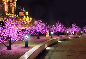 Lighted Trees